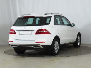 Mercedes-Benz ML  ML 250 BlueTEC 