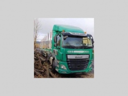 DAF Ostatní Eur6 tahač +SVAN klanicový les 22531207-1023310.jpg